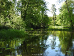 Dinkel Landgoed Singraven